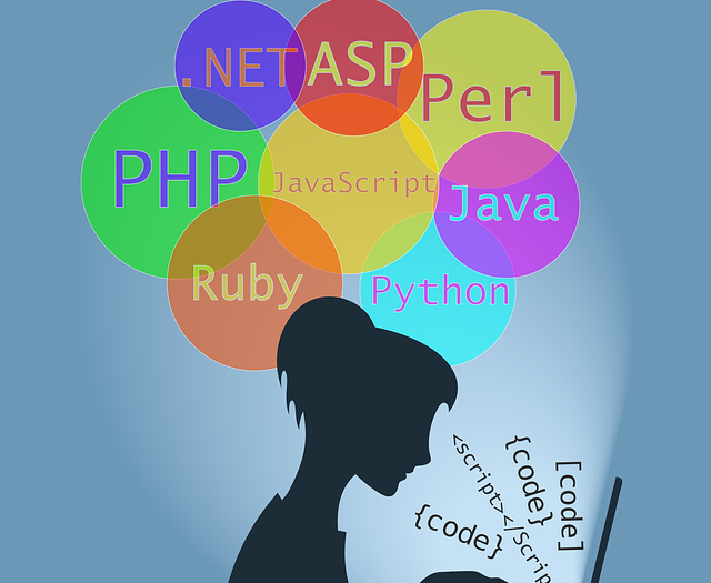 Difference Between Dotnet Programming and Java Programming